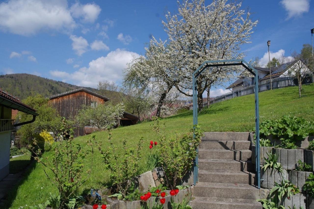 Ferienhaus Bayerwald Ringelai Buitenkant foto