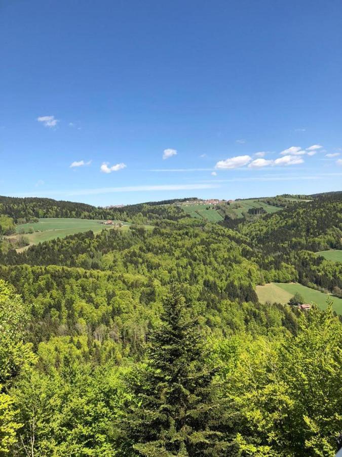 Ferienhaus Bayerwald Ringelai Buitenkant foto