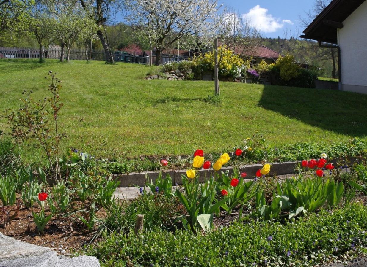 Ferienhaus Bayerwald Ringelai Buitenkant foto